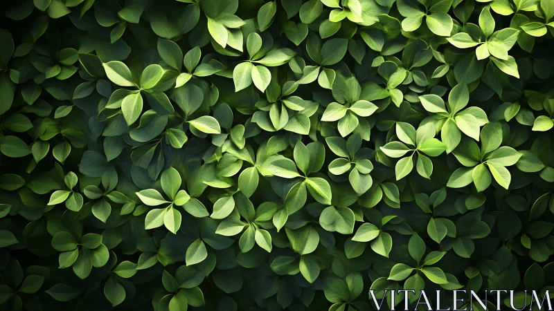 Lush green leaf wall with layered organic foliage pattern.