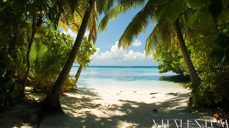 Tropical Beach Cove Through Verdant Palm Gateway.