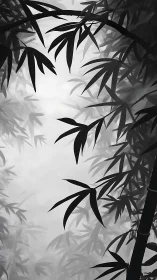 Monochrome bamboo canopy framing misty negative space.