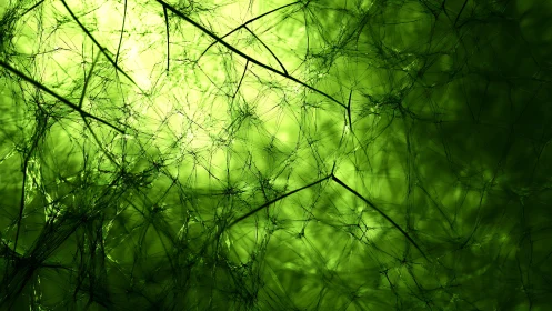 Fractal green web structure glows with layered organic depth