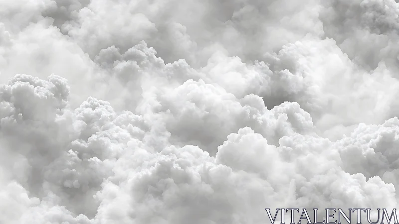 Dense stratiform cumulus cloud field fills the frame uniformly