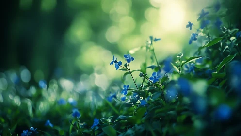 Blue Wildflowers Bloom Against Luminous Green Bokeh Background.