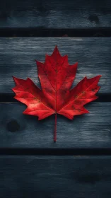 Red maple leaf lies centered on dark wooden planks surface