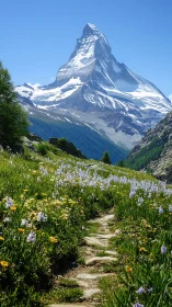 Alpine rock spire above floristic trail in clear atmospheric optics.