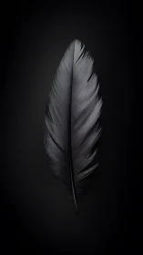 Single black feather on dark background in vertical view.