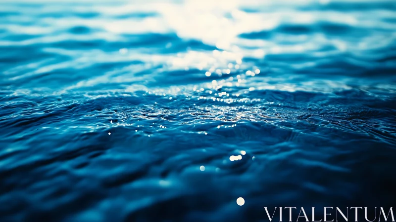 Sunlit ripples dance across a calm blue water day.