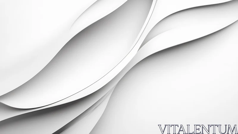 Layered white curves form minimal fluid architectural relief