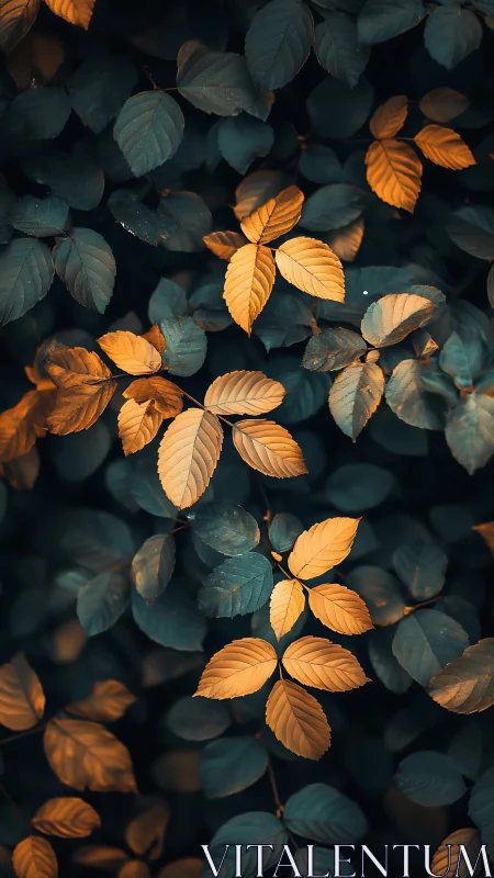 Golden autumn leaves glow against deep teal foliage background.