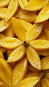 Radial macro study of wet yellow fruit segments in bloom.