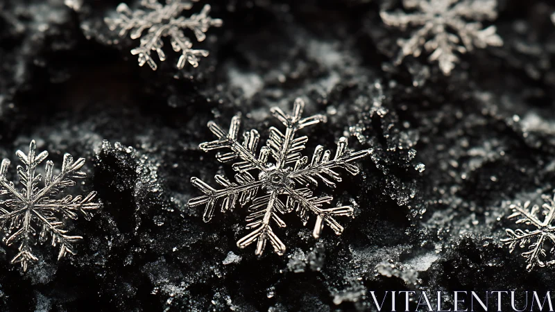 Macro optical study of crystalline snowflakes on dark ice.