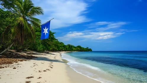 Tropical Beach with Solo Star Flag.