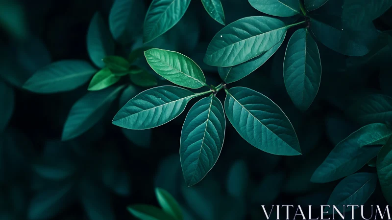 Green elliptical leaves in clustered arrangement at center.