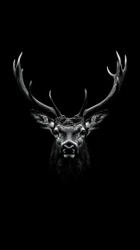 Silver stag portrait emerges from deep black void.