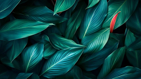 Emerald jungle leaves cradle one bold crimson whisper of color.