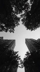 Tall residential towers and dense tree canopies frame open sky