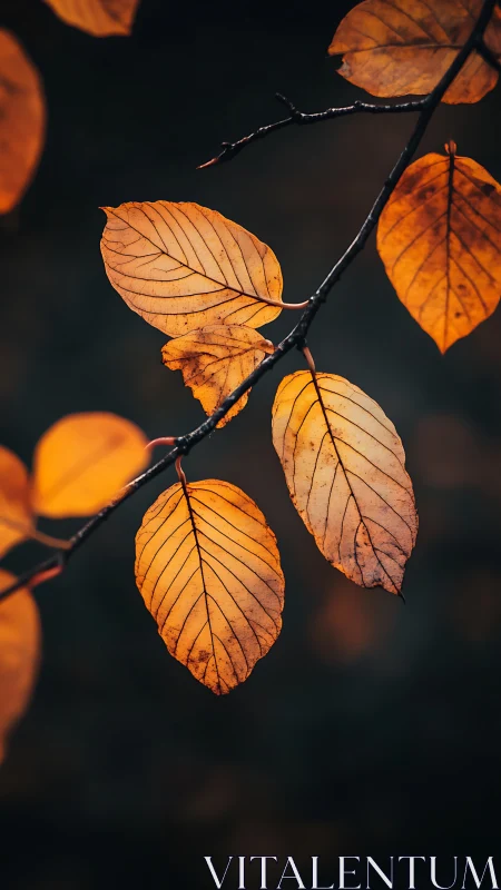 Golden autumn leaves glow softly against a deep forest dusk