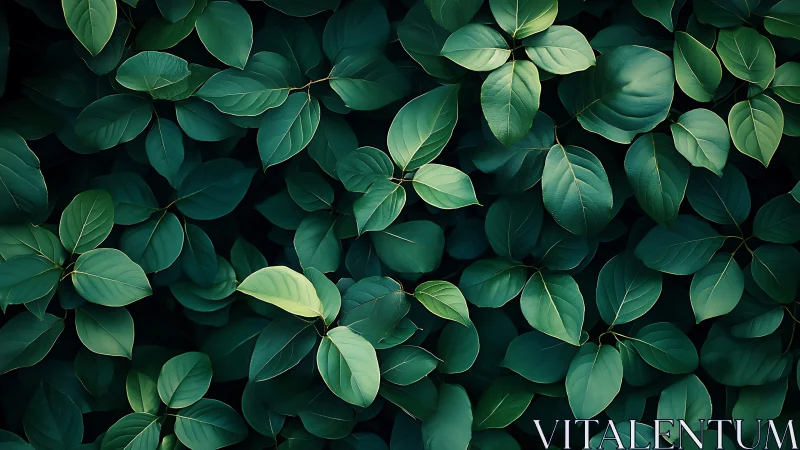 Lush green foliage fills the frame in layered natural patterns.