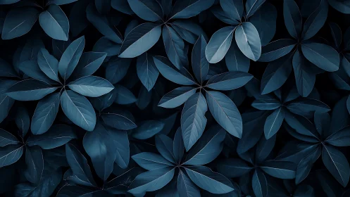 Moody blue foliage forms a calm, abstract botanical pattern.