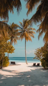 Tropical Beach Paradise. Palms Frame Turquoise Ocean.