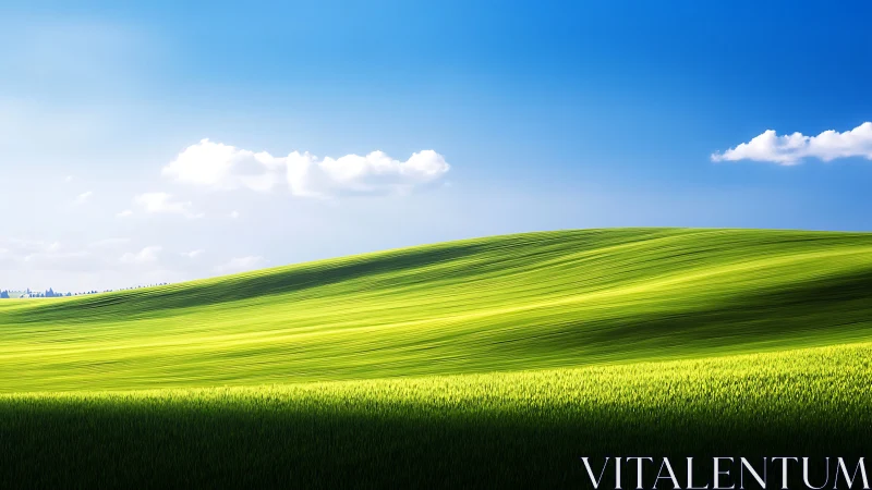 Sunlit rolling green hill beneath a vivid blue sky.