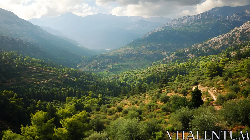 Mediterranean Mountain Valley with Layered Vegetation.