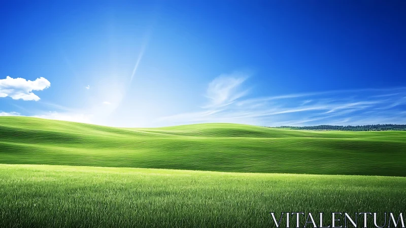 Digital landscape shows green rolling hills under clear sky