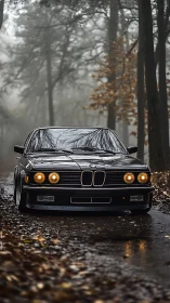 Classic BMW coupe on wet forest road in autumn fog.