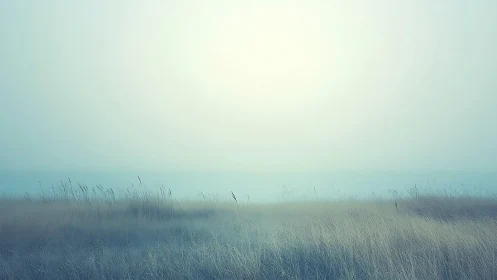 Pale mist covers quiet coastal grassland under soft sky