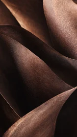 Copper dusk curves unfurl in softly glowing abstraction.