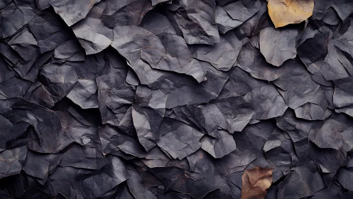 Dark layered dry leaves texture with subtle color accents.