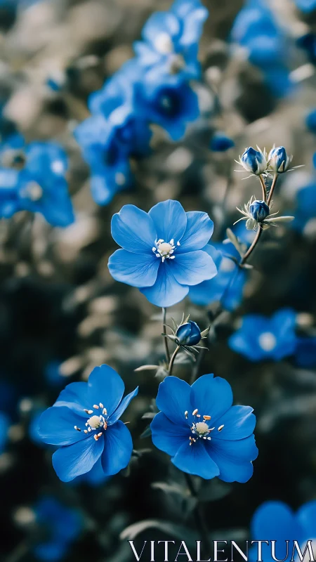 Delicate Blue Flowers Bloom in Gentle Springtime Garden