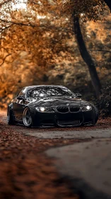 Autumn forest lowrider coupe prowls through copper leaves.