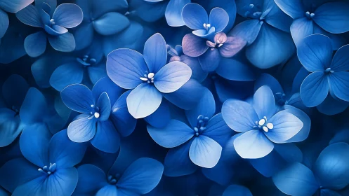 Blue Floral Close-up with Shallow Depth of Field.