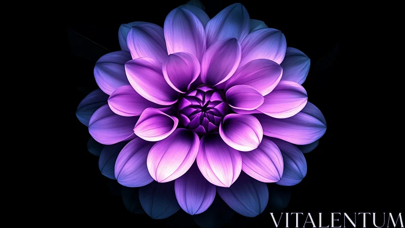 Neon Dahlia with Radiant Gradient Petals Against Black Background.