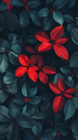 Red compound leaves form contrast against dark teal foliage