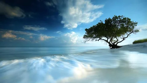 Long-exposure coastal scene isolates windswept tree on shoreline