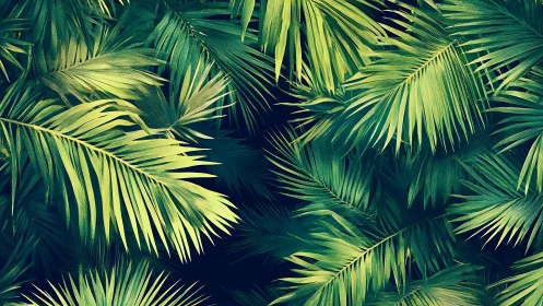 Overlapping palm fronds forming dense green foliage pattern.