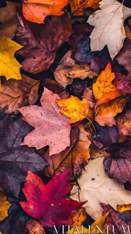Cozy carpet of colorful autumn leaves in warm, earthy tones.