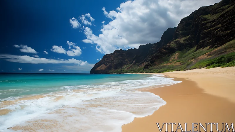 Tropical Paradise Beach with Dramatic Coastal Cliffs