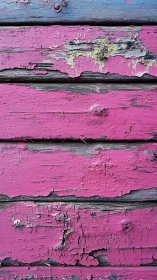 Peeling magenta boards quietly archive years of painted weather
