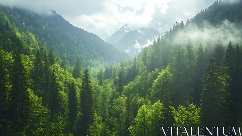 Alpine Valley Atmospheric Perspective: Layered Forest Topography with Orographic Cloud Formation