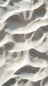 Sunlit sand dunes whisper in smooth, sculpted contours