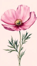 Pink Anemone Flower with Feathered Petals Rendered Against Neutral Backdrop