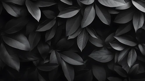 Monochrome foliage texture with layered overlapping leaves.