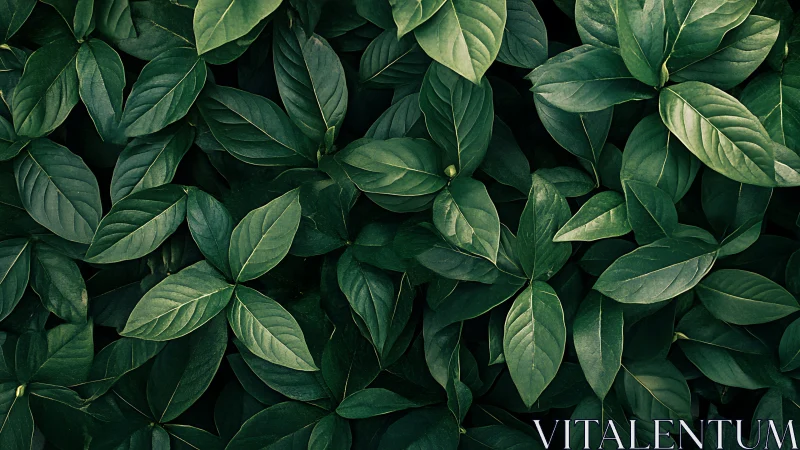 Dense emerald foliage pattern with layered botanical leaves.