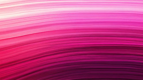 Curved magenta gradient bands create dynamic abstract motion