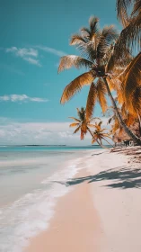 Tropical Beach Paradise with Golden Palm Trees and Turquoise Waters.