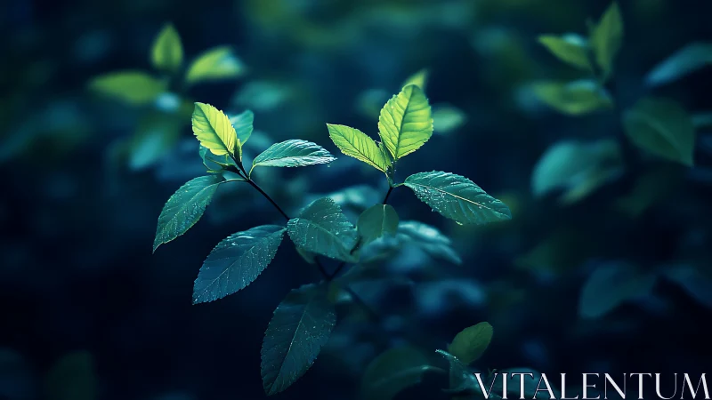 Emerging green leaves glow against deep blue forest bokeh