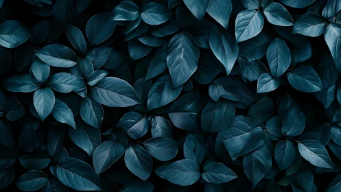 Low-key macro foliage study with teal-toned elliptical leaves