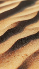 Sunlit sand ripples cast bold shadows across desert floor